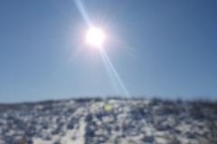 20250216_131023
