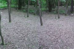 gorowo_DSCF8430