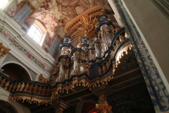 MG_3495