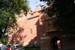 MG_3516