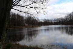 IMG_20200309_162437